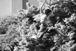 tiltes-fragile-vivacite-29062013-g-tacconi_2_.jpg - JPEG - 44.9 ko - 700×467 px